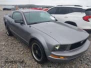 ✅ 2007 Ford Mustang Deluxe • VIN: 1ZVHT80N875216497 • Лот: 43532986. Опубликован ранее на IAAI с пробегом 206 216 миль. Бесплатный доступ к архиву аукционных продаж из США и подробный отчёт об истории автомобиля на DreamBid. Изображение 1.