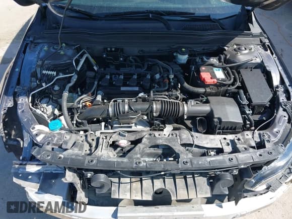 ✅ 2019 Honda Accord EX • VIN: 1HGCV1F40KA036414 • Lot: 43491785. Wystawiony na IAAI z przebiegiem 76 245 mil. Bezpłatny archiwum sprzedaży aukcyjnych z USA i szczegółowy raport historii pojazdu na DreamBid. Zdjęcie 10.