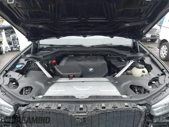 ✅ 2022 BMW X4 xDrive30i • VIN: 5UX33DT09N9J09596 • Lot: 43708534. Wystawiony na IAAI z przebiegiem 54 336 mil. Bezpłatny archiwum sprzedaży aukcyjnych z USA i szczegółowy raport historii pojazdu na DreamBid. Zdjęcie 10.