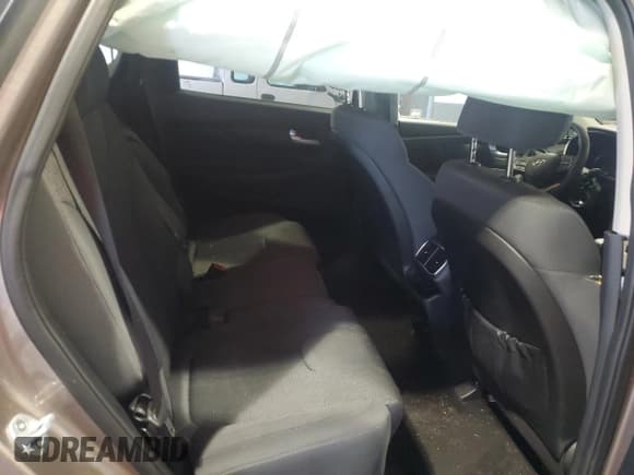 ✅ 2019 Hyundai Santa Fe SE • VIN: 5NMS2CAD2KH116387 • Lot: 53016193. Wystawiony na Copart z przebiegiem 40 604 mil. Bezpłatny archiwum sprzedaży aukcyjnych z USA i szczegółowy raport historii pojazdu na DreamBid. Zdjęcie 11.