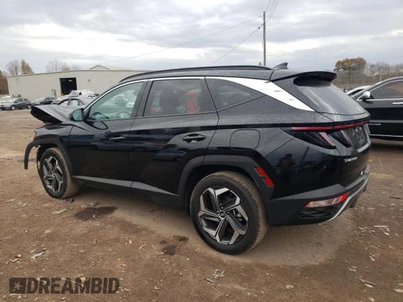 ✅ 2024 Hyundai Tucson Limited • VIN: 5NMJECDE3RH361880 • Lot: 78854114. Wystawiony na Copart z przebiegiem 21 434 mil. Bezpłatny archiwum sprzedaży aukcyjnych z USA i szczegółowy raport historii pojazdu na DreamBid. Zdjęcie 2.