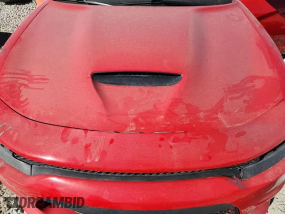 ✅ 2019 Dodge Charger R/T • VIN: 2C3CDXCT3KH575471 • Лот: 89652285. Опубликован ранее на Copart с пробегом Не указан. Бесплатный доступ к архиву аукционных продаж из США и подробный отчёт об истории автомобиля на DreamBid. Изображение 11.