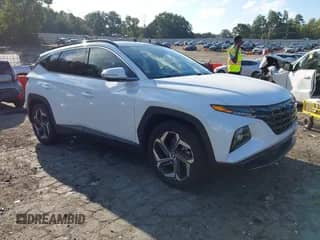 2022 Hyundai Tucson Limited with VIN 5NMJE3AE7NH048331, listed as a IAAI auction lot 43324751 with 30,142 mi miles and . Bid and sale history available at DreamBid. Image 1.