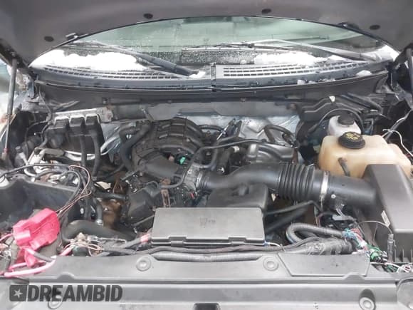 ✅ 2013 Ford F-150 XL • VIN: 1FTMF1EM7DKF00684 • Lot: 43670904. Listed on IAAI with 102,569 mi. Free auction sales archive from the USA and detailed vehicle history report at DreamBid. Image 10.