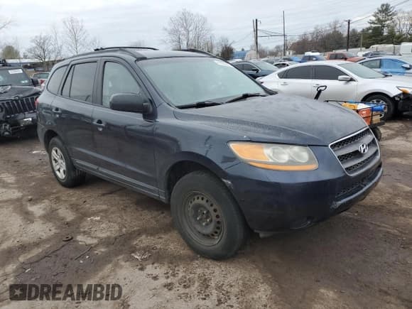 ✅ 2009 Hyundai Santa Fe GLS • VIN: 5NMSG13D89H324531 • Lot: 41603665. Listed on Copart with 132,500 mi. Free auction sales archive from the USA and detailed vehicle history report at DreamBid. Image 4.