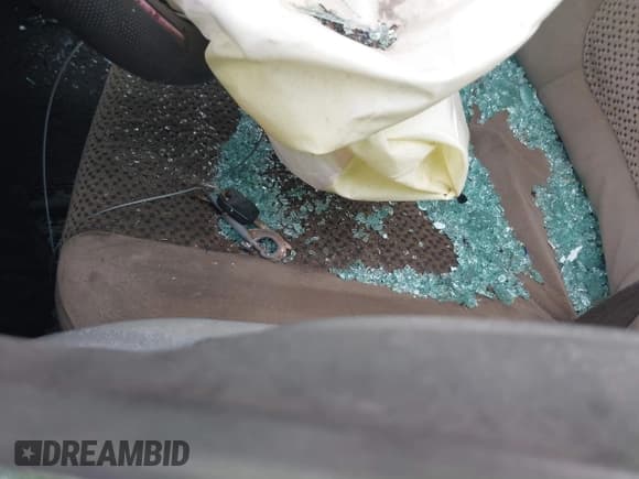 ✅ 1999 Ford F-150 XL • VIN: 1FTRX17L5XKA88356 • Lot: 41133256. Listed on IAAI with Not provided. Free auction sales archive from the USA and detailed vehicle history report at DreamBid. Image 11.