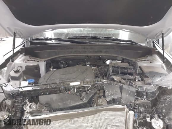 ✅ 2024 Kia Telluride EX X-Line • VIN: 5XYP3DGC3RG487764 • Lot: 43633827. Listed on IAAI with 19,045 mi. Free auction sales archive from the USA and detailed vehicle history report at DreamBid. Image 10.