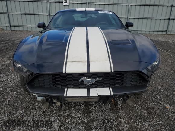 ✅ 2019 Ford Mustang EcoBoost • VIN: 1FA6P8TH4K5172906 • Lot: 91286965. Wystawiony na Copart z przebiegiem 123 060 mil. Bezpłatny archiwum sprzedaży aukcyjnych z USA i szczegółowy raport historii pojazdu na DreamBid. Zdjęcie 5.