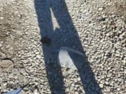 ✅ 2015 Subaru Outback Limited • VIN: 4S4BSBLC8F3210918 • Lot: 92736285. Listed on Copart with Not provided. Free auction sales archive from the USA and detailed vehicle history report at DreamBid. Image 13.