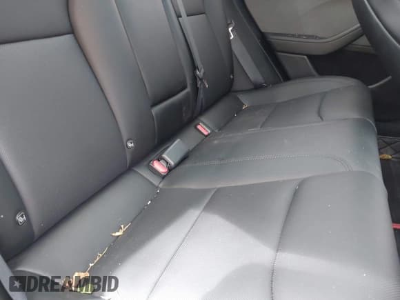 ✅ 2024 Tesla Model 3 • VIN: 5YJ3E1EA3RF746589 • Lot: 43211864. Wystawiony na IAAI z przebiegiem 11 116 mil. Bezpłatny archiwum sprzedaży aukcyjnych z USA i szczegółowy raport historii pojazdu na DreamBid. Zdjęcie 8.