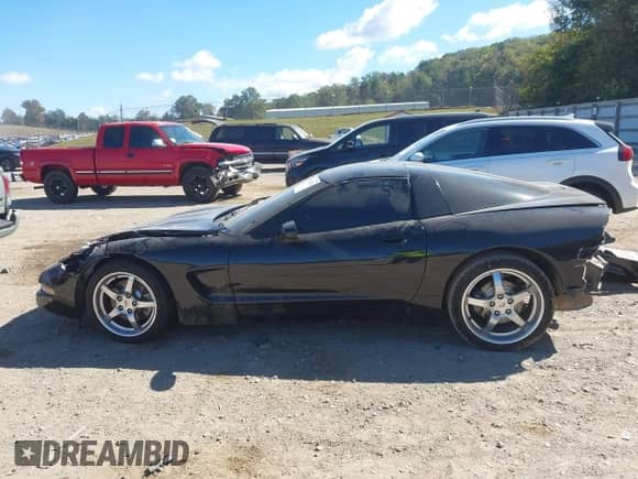 1997 Chevrolet Corvette with VIN 1G1YY22G7V5107714, listed as a IAAI auction lot 43420125 with Not provided miles and . Bid and sale history available at DreamBid. Image 13.
