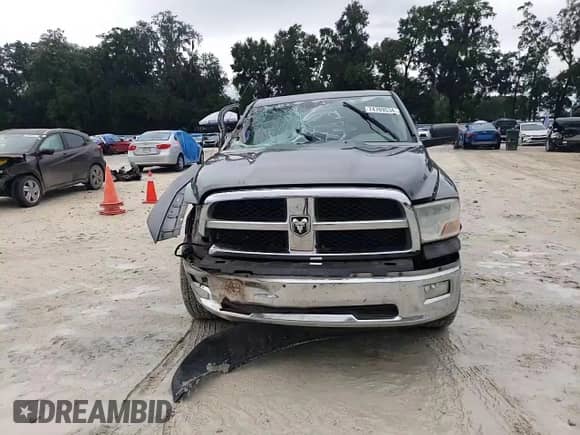 2009 Dodge 1500 SLT с VIN 1D3HB18T39S710391, выставлен на аукционе Copart как лот 74769534 с пробегом 244 310 миль миль и Списание • Salvage title. История ставок и продаж доступна на DreamBid. Изображение 10.