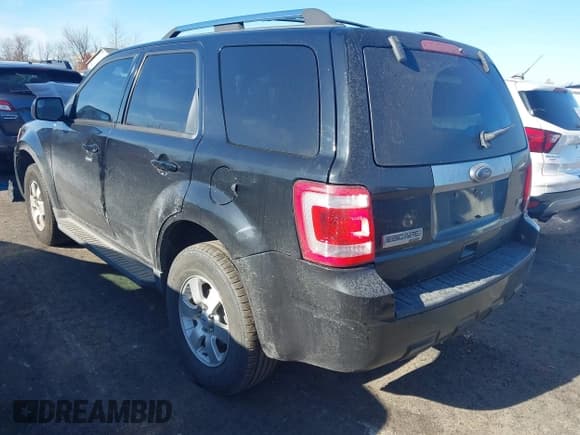 ✅ 2010 Ford Escape Limited • VIN: 1FMCU0EG3AKB29648 • Lot: 43696541. Wystawiony na IAAI z przebiegiem 129 513 mil. Bezpłatny archiwum sprzedaży aukcyjnych z USA i szczegółowy raport historii pojazdu na DreamBid. Zdjęcie 3.