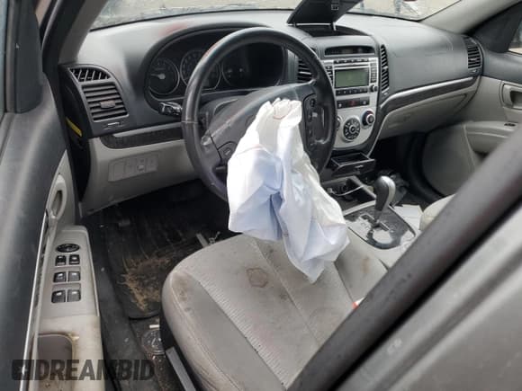 ✅ 2009 Hyundai Santa Fe GL 5Pass • VIN: 5NMSG13E59H245391 • Lot: 62327625. Listed on Copart with 242,984 mi. Free auction sales archive from the USA and detailed vehicle history report at DreamBid. Image 8.