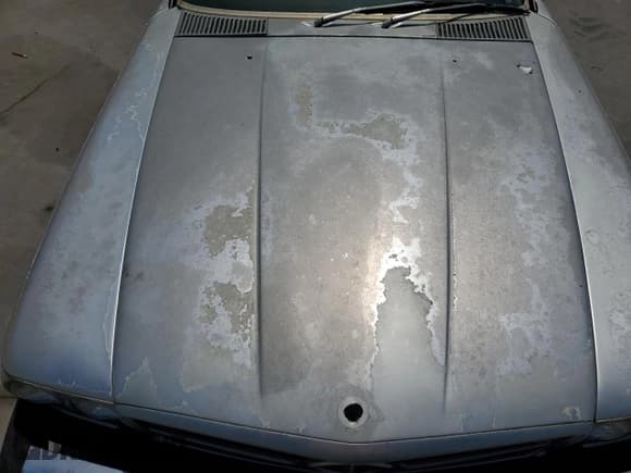 ✅ 1977 Mercedes-Benz SLC • VIN: 10702412018085 • Lot: 66805534. Listed on Copart with 128,624 mi. Free auction sales archive from the USA and detailed vehicle history report at DreamBid. Image 11.