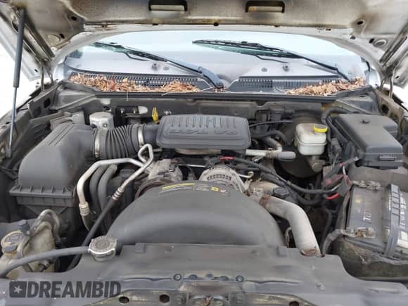 2008 Dodge Dakota ST с VIN 1D7HE22K28S510421, выставлен на аукционе IAAI как лот 42686505 с пробегом 138 167 миль миль и . История ставок и продаж доступна на DreamBid. Изображение 10.