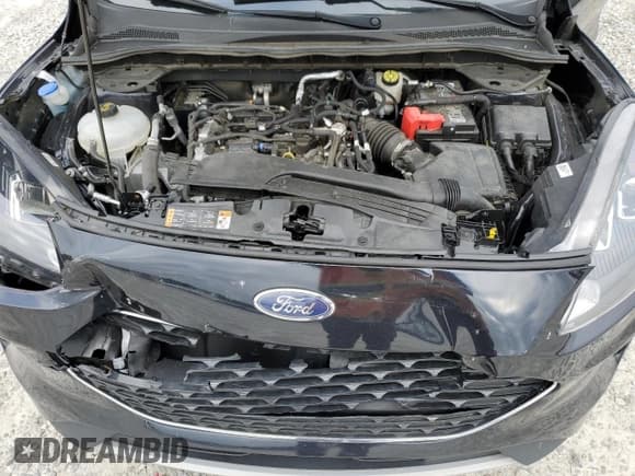 ✅ 2021 Ford Escape SEL • VIN: 1FMCU0H64MUB09355 • Lot: 54846655. Listed on Copart with 55,660 mi. Free auction sales archive from the USA and detailed vehicle history report at DreamBid. Image 11.