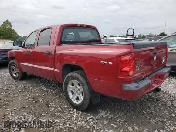 2010 Dodge Dakota SXT with VIN 1D7CW3GP8AS230686, listed as a Copart auction lot 65687704 with 110,017 mi miles and Salvage title. Bid and sale history available at DreamBid. Image 2.
