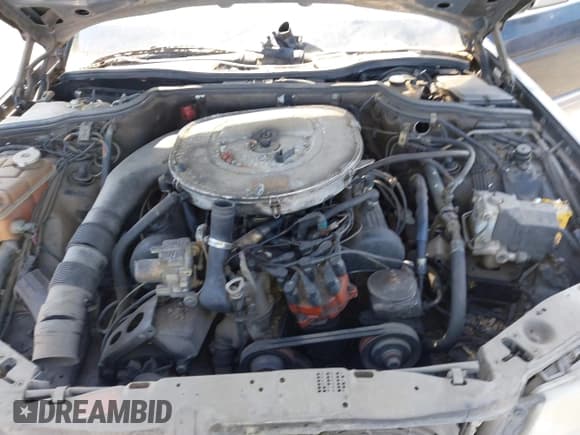 ✅ 1991 Mercedes-Benz 420 SEL • VIN: WDBCA35E4MA580934 • Lot: 42723639. Wystawiony na IAAI z przebiegiem Nie podano. Bezpłatny archiwum sprzedaży aukcyjnych z USA i szczegółowy raport historii pojazdu na DreamBid. Zdjęcie 10.