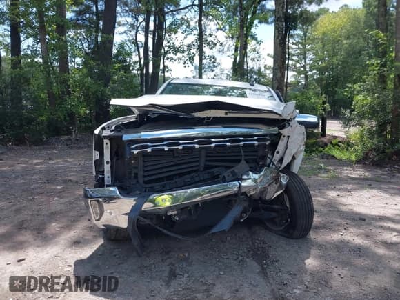 ✅ 2018 Chevrolet Silverado 1500 LTZ • VIN: 3GCUKSEC8JG360544 • Lot: 42746960. Wystawiony na IAAI z przebiegiem Nie podano. Bezpłatny archiwum sprzedaży aukcyjnych z USA i szczegółowy raport historii pojazdu na DreamBid. Zdjęcie 13.