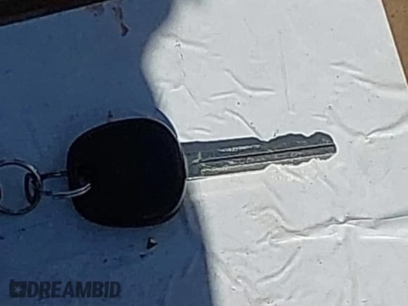 ✅ 2003 Toyota 4Runner SR5 • VIN: JTEZU14R538001494 • Lot: 42617202. Listed on IAAI with 252,088 mi. Free auction sales archive from the USA and detailed vehicle history report at DreamBid. Image 11.