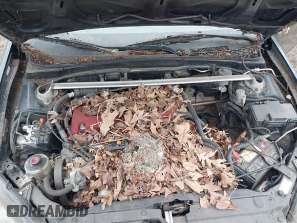 ✅ 2005 Acura RSX Type S • VIN: JH4DC530X5S001491 • Lot: 43868424. Wystawiony na IAAI z przebiegiem Nie podano. Bezpłatny archiwum sprzedaży aukcyjnych z USA i szczegółowy raport historii pojazdu na DreamBid. Zdjęcie 10.