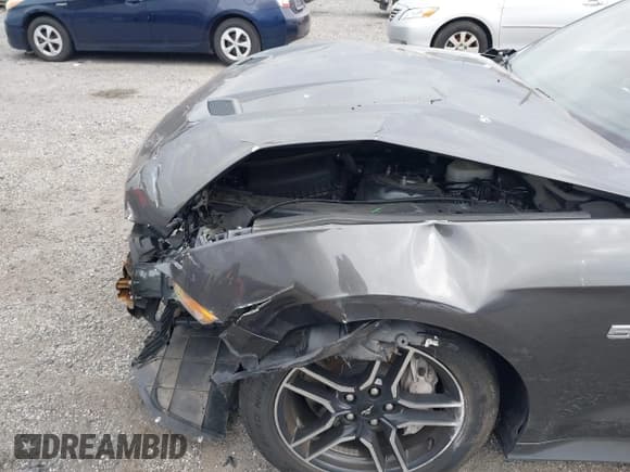 ✅ 2019 Ford Mustang GT • VIN: 1FA6P8CF7K5160974 • Lot: 43557577. Wystawiony na IAAI z przebiegiem 64 432 mil. Bezpłatny archiwum sprzedaży aukcyjnych z USA i szczegółowy raport historii pojazdu na DreamBid. Zdjęcie 6.