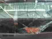 2004 Saturn ION ION 1 z VIN 1G8AG52FX4Z121029, wystawiony jako Copart lot #85560375 z przebiegiem 196 911 mil mil oraz Szkoda całkowita • Salvage title. Historia ofert i sprzedaży dostępna na DreamBid. Obrazek 12.