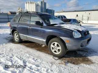2004 Hyundai Santa Fe GLS с VIN KM8SC13E04U819968, выставлен на аукционе Copart как лот 88279005 с пробегом 156 808 миль миль и Списание • Salvage title. История ставок и продаж доступна на DreamBid. Изображение 4.