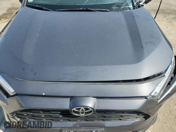 ✅ 2024 Toyota RAV4 XLE • VIN: 2T3W1RFV3RW361892 • Лот: 89437035. Опубликован ранее на Copart с пробегом Не указан. Бесплатный доступ к архиву аукционных продаж из США и подробный отчёт об истории автомобиля на DreamBid. Изображение 11.