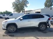 ✅ 2024 Toyota RAV4 Hybrid XLE Premium • VIN: JTMB6RFV9RD564086 • Lot: 43586269. Listed on IAAI with 13,507 mi. Free auction sales archive from the USA and detailed vehicle history report at DreamBid. Image 14.