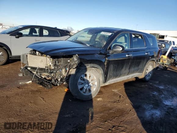 ✅ 2024 Hyundai Palisade SE • VIN: KM8R1DGE2RU713514 • Лот: 87855025. Опубликован ранее на Copart с пробегом Не указан. Бесплатный доступ к архиву аукционных продаж из США и подробный отчёт об истории автомобиля на DreamBid. Изображение 1.