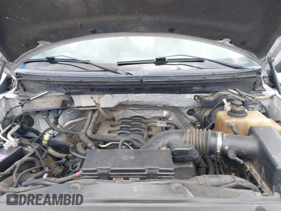 ✅ 2011 Ford F-150 XL • VIN: 1FTFW1EF0BKD57276 • Lot: 42511868. Listed on IAAI with 246,957 mi. Free auction sales archive from the USA and detailed vehicle history report at DreamBid. Image 10.