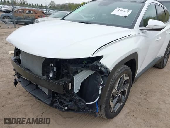 ✅ 2023 Hyundai Tucson Limited • VIN: 5NMJECAE1PH250973 • Lot: 42166021. Listed on IAAI with 34,399 mi. Free auction sales archive from the USA and detailed vehicle history report at DreamBid. Image 19.