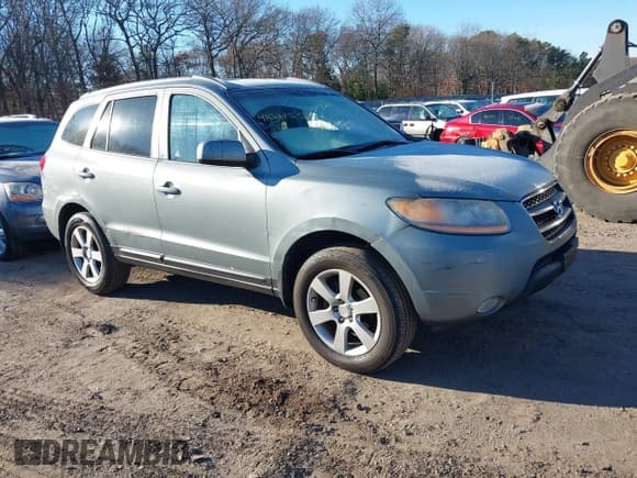 ✅ 2008 Hyundai Santa Fe SE • VIN: 5NMSH73E98H207810 • Lot: 41021538. Listed on IAAI with Not provided. Free auction sales archive from the USA and detailed vehicle history report at DreamBid. Image 1.