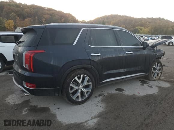 ✅ 2020 Hyundai Palisade SEL • VIN: KM8R4DHE7LU029197 • Лот: 77357774. Опубликован ранее на Copart с пробегом 94 324 миль. Бесплатный доступ к архиву аукционных продаж из США и подробный отчёт об истории автомобиля на DreamBid. Изображение 3.