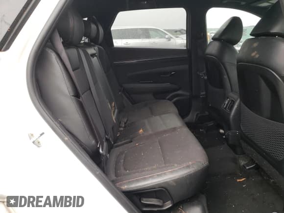 ✅ 2023 Hyundai Tucson N Line • VIN: KM8JF3AE6PU177116 • Lot: 56227125. Wystawiony na Copart z przebiegiem 92 878 mil. Bezpłatny archiwum sprzedaży aukcyjnych z USA i szczegółowy raport historii pojazdu na DreamBid. Zdjęcie 11.