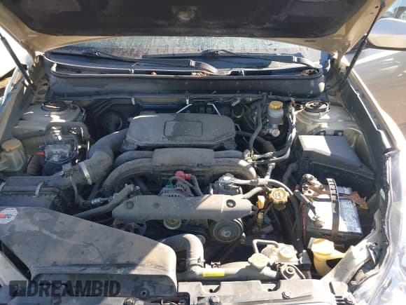 ✅ 2010 Subaru Legacy Limited Moon • VIN: 4S3BMCK65A3225840 • Lot: 43639761. Wystawiony na IAAI z przebiegiem 234 982 mil. Bezpłatny archiwum sprzedaży aukcyjnych z USA i szczegółowy raport historii pojazdu na DreamBid. Zdjęcie 10.