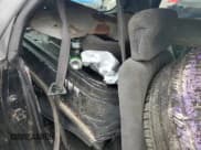 ✅ 1998 Pontiac Firebird Firebird • VIN: 2G2FS22K2W2209783 • Lot: 69790445. Wystawiony na Copart z przebiegiem Nie podano. Bezpłatny archiwum sprzedaży aukcyjnych z USA i szczegółowy raport historii pojazdu na DreamBid. Zdjęcie 10.