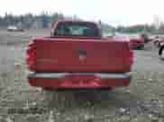 2008 Dodge Dakota Bighorn/Lonestar with VIN 1D7HE32K98S505285, listed as a Copart auction lot 41872345 with 205,654 mi miles and Salvage title. Bid and sale history available at DreamBid. Image 6.