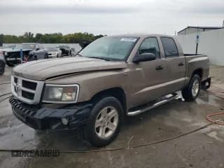 ✅ 2010 Dodge Dakota Bighorn/Lonestar • VIN: 1D7CW3GP4AS130858 • Lot: 71701495. Wystawiony na Copart z przebiegiem 215 745 mil. Bezpłatny archiwum sprzedaży aukcyjnych z USA i szczegółowy raport historii pojazdu na DreamBid. Zdjęcie 1.