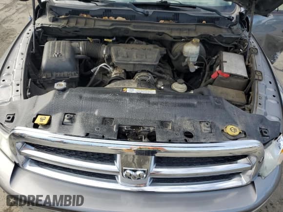 ✅ 2010 Dodge 1500 ST • VIN: 1D7RB1CP9AS115420 • Lot: 44579735. Wystawiony na Copart z przebiegiem 190 165 mil. Bezpłatny archiwum sprzedaży aukcyjnych z USA i szczegółowy raport historii pojazdu na DreamBid. Zdjęcie 11.