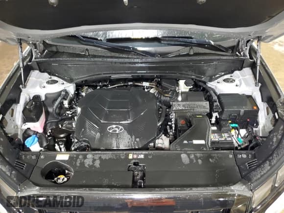 ✅ 2024 Hyundai Palisade SEL • VIN: KM8R24GE7RU805716 • Лот: 48848835. Опубликован ранее на Copart с пробегом 24 558 миль. Бесплатный доступ к архиву аукционных продаж из США и подробный отчёт об истории автомобиля на DreamBid. Изображение 12.