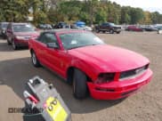 ✅ 2006 Ford Mustang Standard • VIN: 1ZVFT84N965166306 • Lot: 40580690. Listed on IAAI with 113,233 mi. Free auction sales archive from the USA and detailed vehicle history report at DreamBid. Image 1.