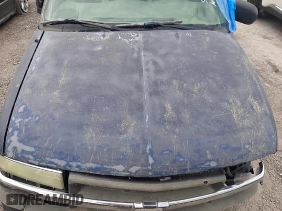 ✅ 2003 Chevrolet S-10 LS • VIN: 1GCCS19X438231731 • Лот: 83910314. Опубликован ранее на Copart с пробегом Не указан. Бесплатный доступ к архиву аукционных продаж из США и подробный отчёт об истории автомобиля на DreamBid. Изображение 11.