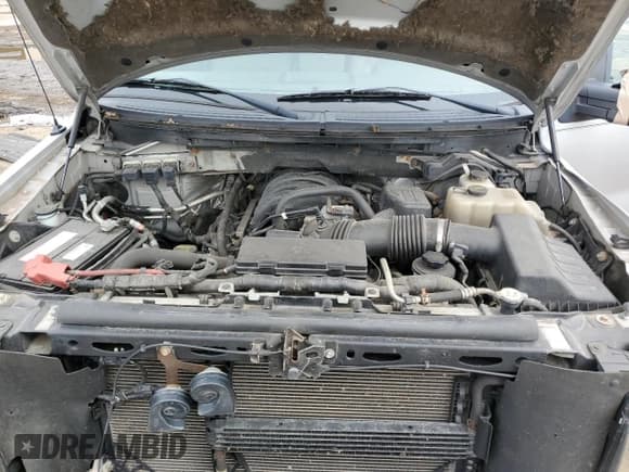 ✅ 2010 Ford F-150 XL • VIN: 1FTNF1E83AKE25517 • Лот: 51992535. Опубликован ранее на Copart с пробегом 140 373 миль. Бесплатный доступ к архиву аукционных продаж из США и подробный отчёт об истории автомобиля на DreamBid. Изображение 11.