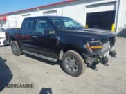 ✅ 2025 Ford F-150 XLT • VIN: 1FTEW3LP2SKE14192 • Лот: 43242819. Опубликован ранее на IAAI с пробегом 9 599 миль. Бесплатный доступ к архиву аукционных продаж из США и подробный отчёт об истории автомобиля на DreamBid. Изображение 1.