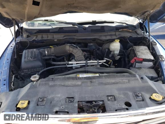 ✅ 2010 Dodge 1500 SLT • VIN: 1D7RB1CT8AS237862 • Lot: 56537585. Wystawiony na Copart z przebiegiem 217 999 mil. Bezpłatny archiwum sprzedaży aukcyjnych z USA i szczegółowy raport historii pojazdu na DreamBid. Zdjęcie 11.