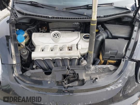 ✅ 2006 Volkswagen Beetle • VIN: 3VWPW31C36M406543 • Лот: 42279407. Опубликован ранее на IAAI с пробегом 113 208 миль. Бесплатный доступ к архиву аукционных продаж из США и подробный отчёт об истории автомобиля на DreamBid. Изображение 10.