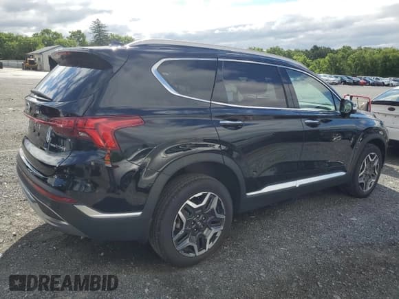 ✅ 2023 Hyundai Santa Fe SEL Premium • VIN: 5NMS3DA11PH009489 • Lot: 61459274. Wystawiony na Copart z przebiegiem 12 452 mil. Bezpłatny archiwum sprzedaży aukcyjnych z USA i szczegółowy raport historii pojazdu na DreamBid. Zdjęcie 3.